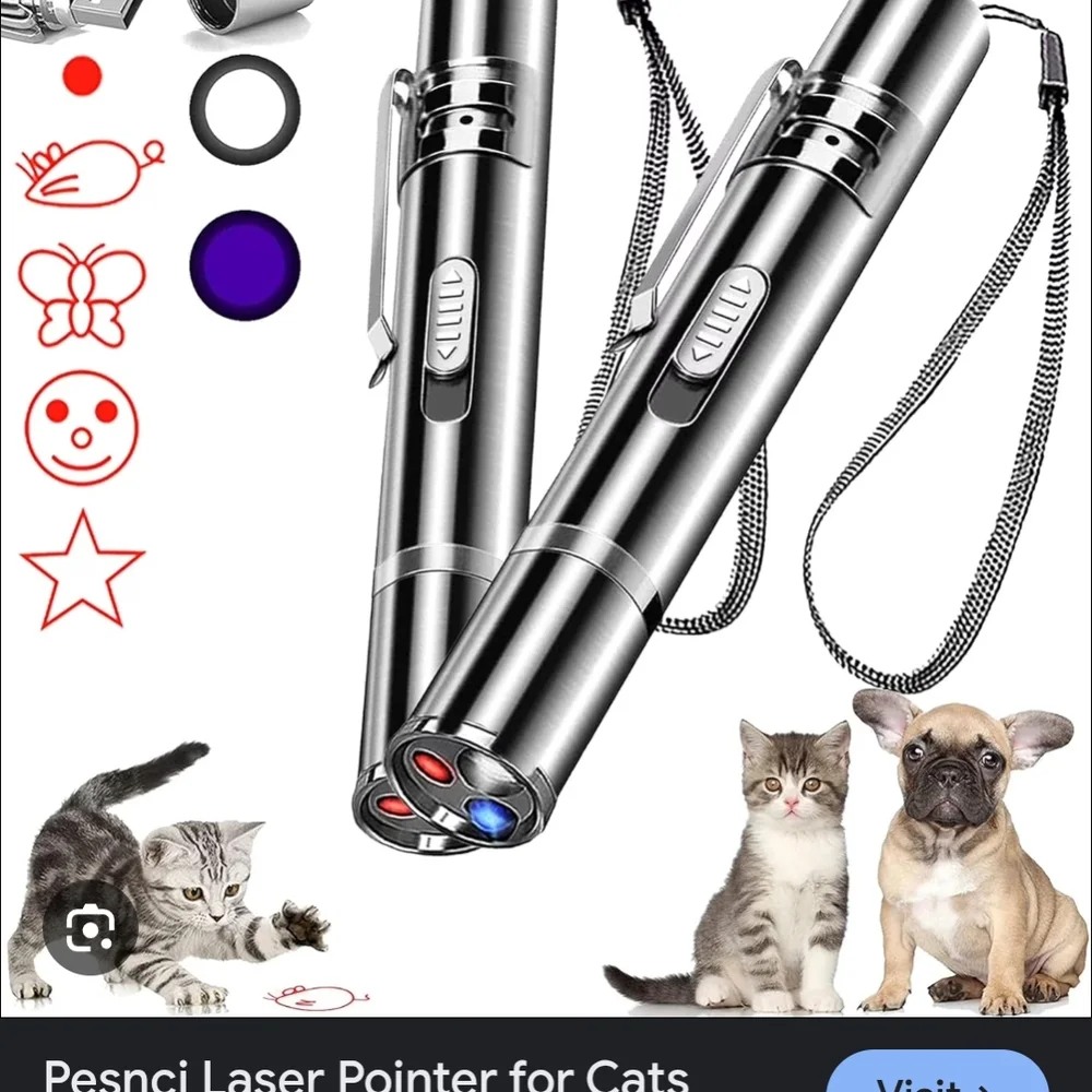 Silver Laser Pointer for Cats